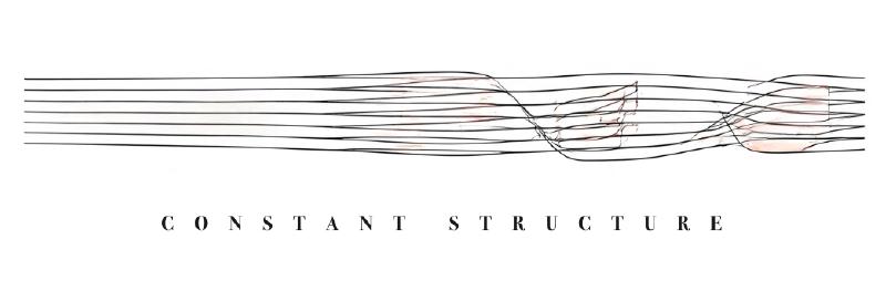 Featured image of post 一起來玩「恆定結構」（Constant Structure）！