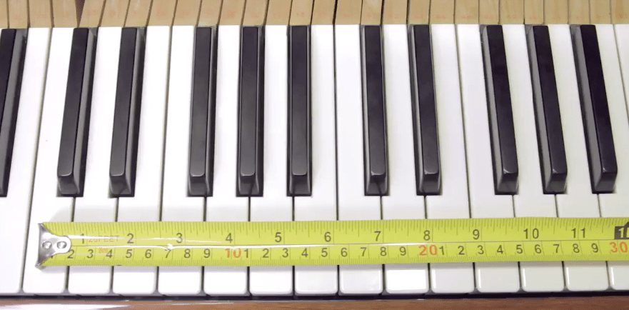你超過 20 公分嗎？恭喜你有一隻很適合彈鋼琴的手！（NBA 球星麥可喬登的手有 29 公分寬）